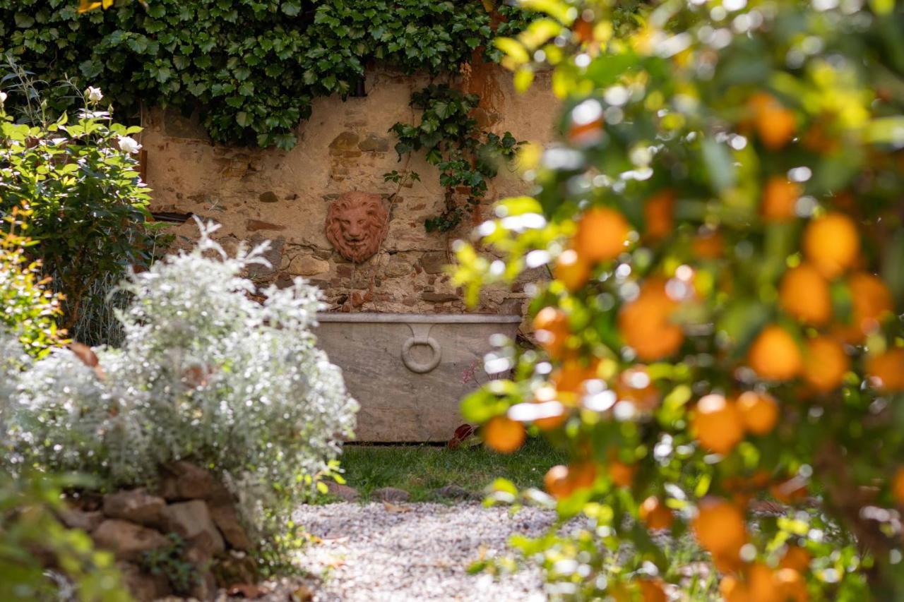 Secret Garden Firenze B&B Eksteriør bilde
