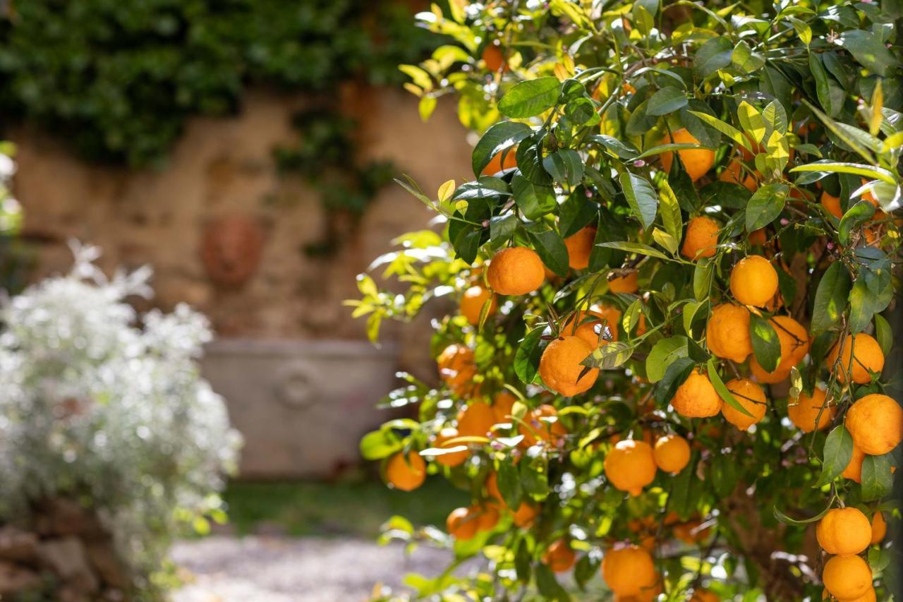 Secret Garden Firenze B&B Eksteriør bilde