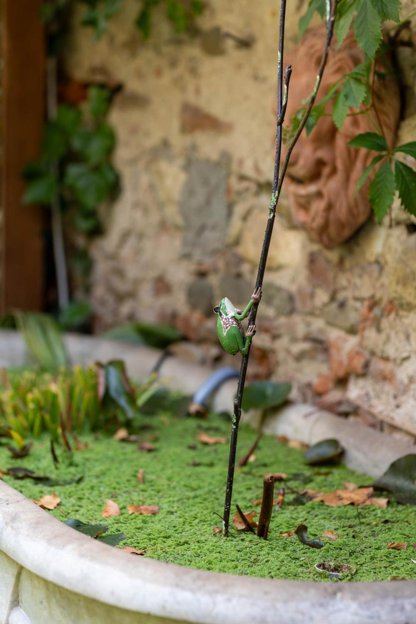 Secret Garden Firenze B&B Eksteriør bilde