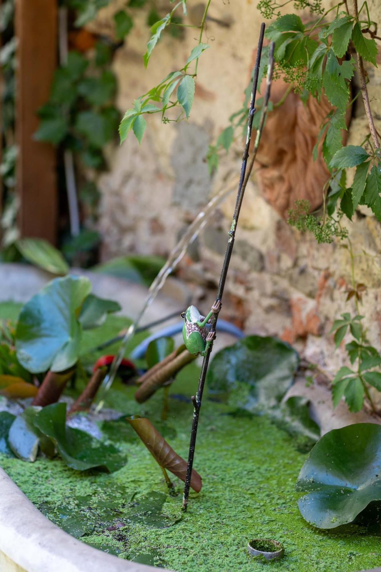 Secret Garden Firenze B&B Eksteriør bilde